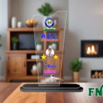 Customised Printed Trophy - FNT45